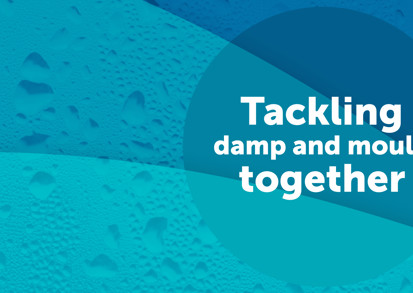 Damp And mould web banner